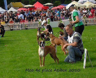 Atibox_2010